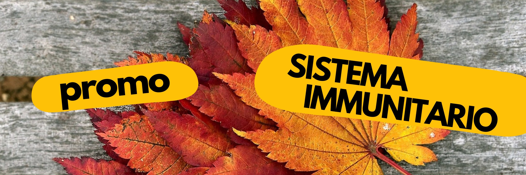 Promo Sistema Immunitario