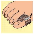 L/PIEDE CUSC.DIGITALE X2PZ MED