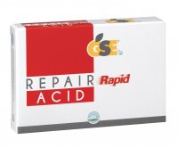 GSE REPAIR RAPID ACID INT. 12CPR
