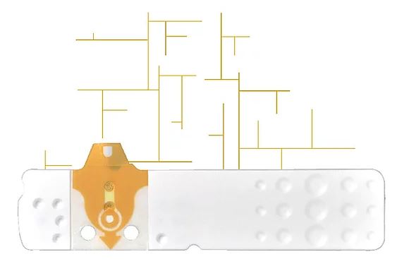 LINEA D ORO 25 STRISCE