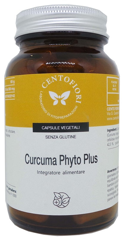 CURCUMA PHYTO PLUS 100CPS 500MG