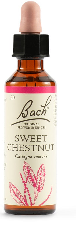 BACH ORIG.SWEET CHESTNUT 20ML