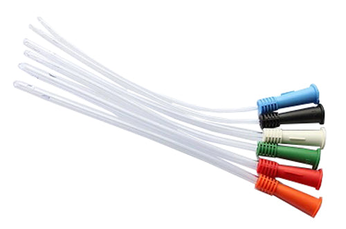 CATET.ERUPL.RUSCH DONNA CH16 X60