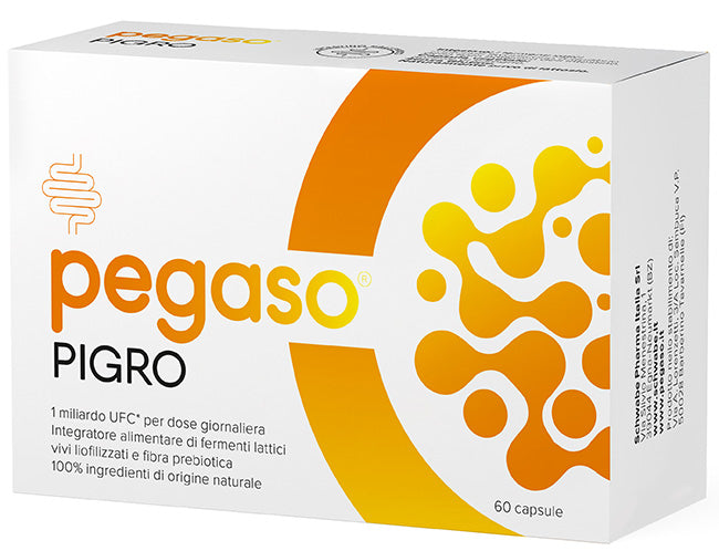 PEGASO PIGRO 60CPS