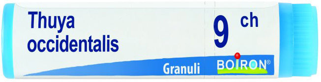 BOIRON THUYA DOSE 9CH 1G