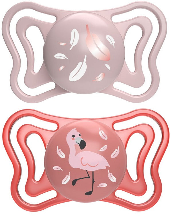 C.SUCC.LIGHT SIL. 6-16 ROSA X2