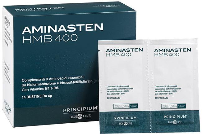 PRINCIPIUM AMINASTEN HMB400 14BS