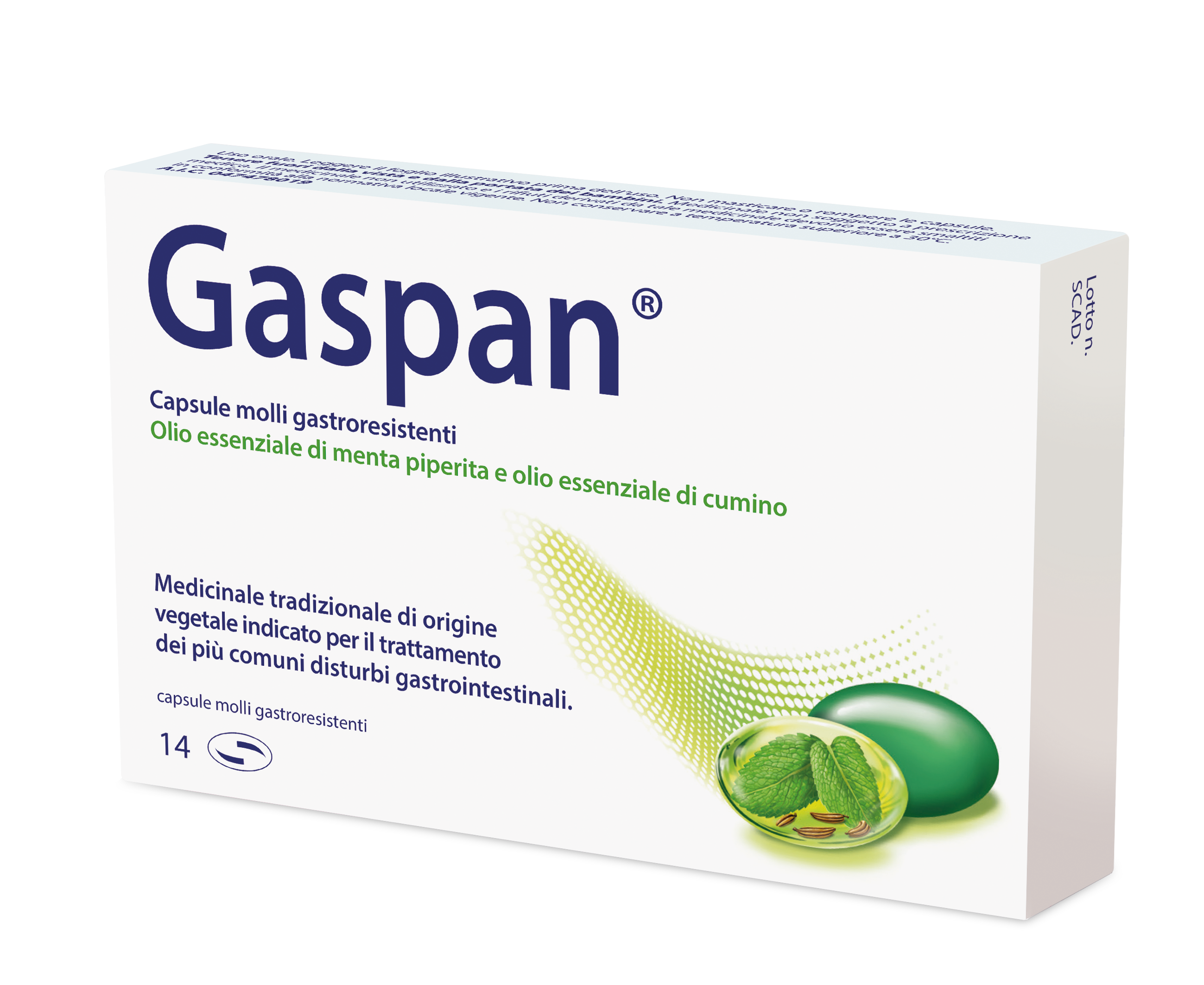 GASPAN*14CPS MOLLI GASTRORES