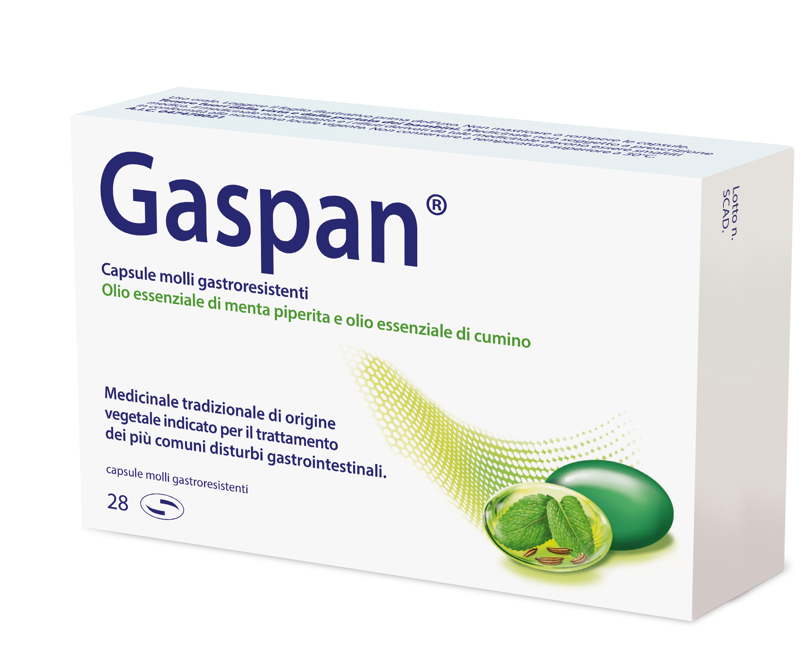 GASPAN*28CPS MOLLI GASTRORES