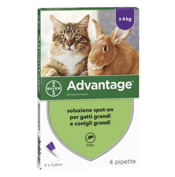 ADVANTAGE*4PIP 0,8ML SPOTON