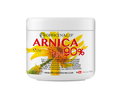 ARNICA GEL 90% 500ML