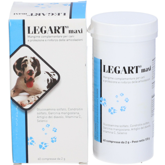 LEGART MAXI 60CPR