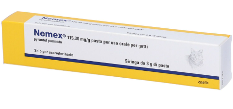 NEMEX GATTI*OS PASTA SIR 3G