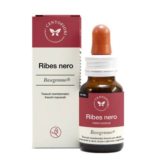 RIBES NERO BASEGEMMO 30ML