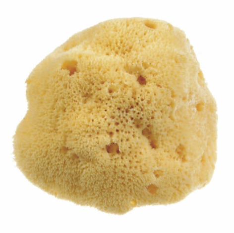 BEAUTYTIME SPUG NAT DAMA M