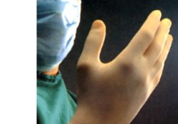 GUANTO CHIR LATT STER 6,5