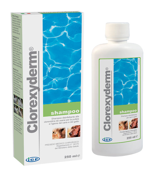 CLOREXYDERM SHAMPOO 250ML