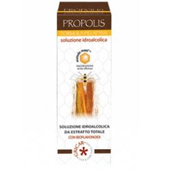 PROPOLIS  SOL. IDROALC.1:3  30ML