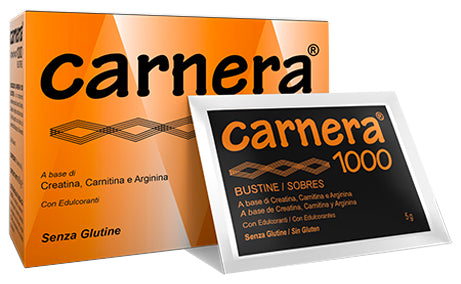 CARNERA 1000 INTEGR.     18BS 5G