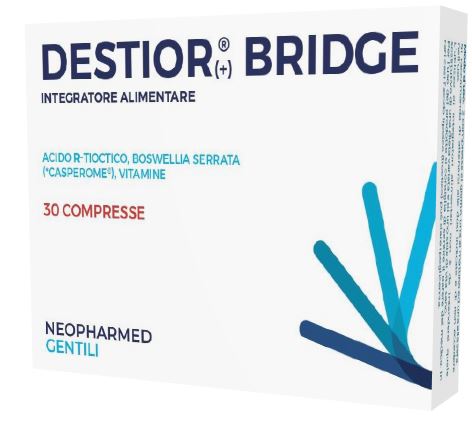 DESTIOR BRIDGE INT.  30CPR 1.02G
