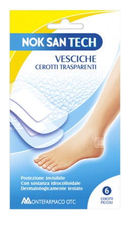 NOKSAN TECH CER.VESCICHE   PICX6