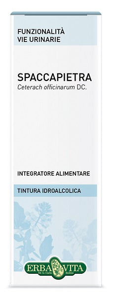 SPACCAPIETRA TINT IAL EBV   50ML