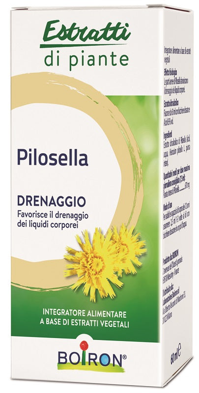 BOIRON PILOSELLA    EST.IDR.60ML