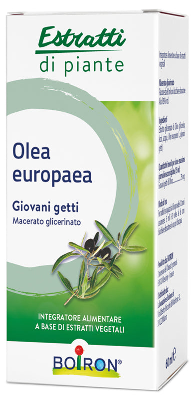 OLEA EUROPAEA BOIRON MG 60ML