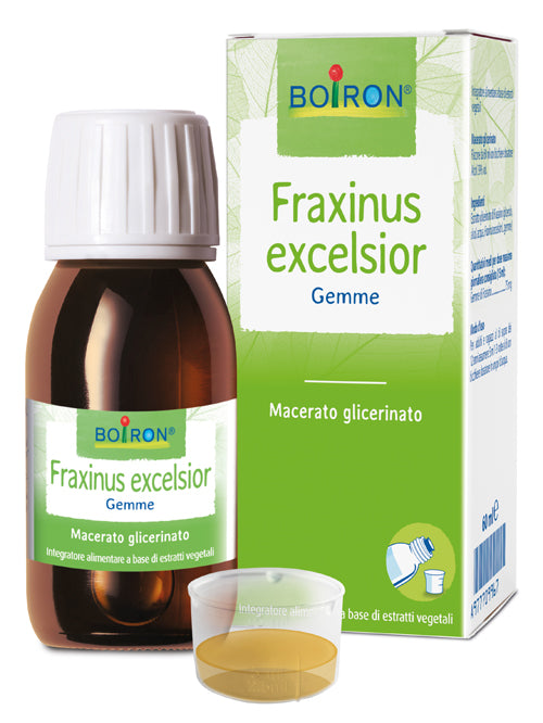 FRAXINUS EXCELSIOR M.G.     60ML