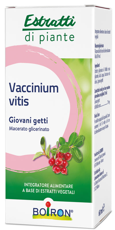 VACCINIUM VITIS MG 60ML