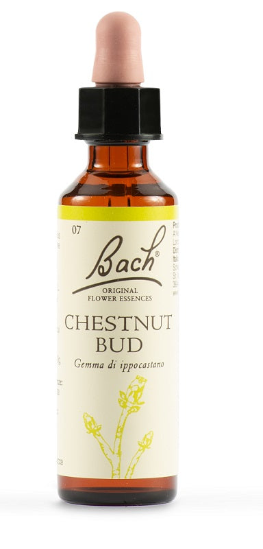BACH ORIG.CHESTNUT          20ML