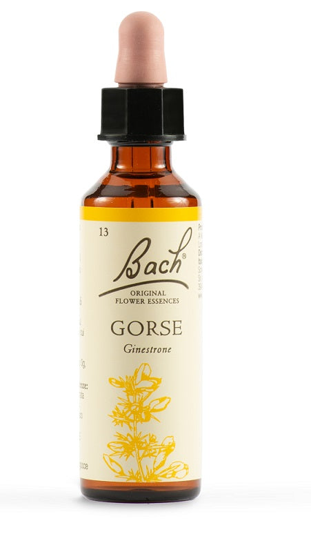 BACH ORIG.GORSE             20ML