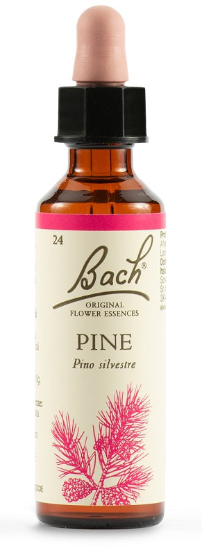 BACH ORIG.PINE              20ML