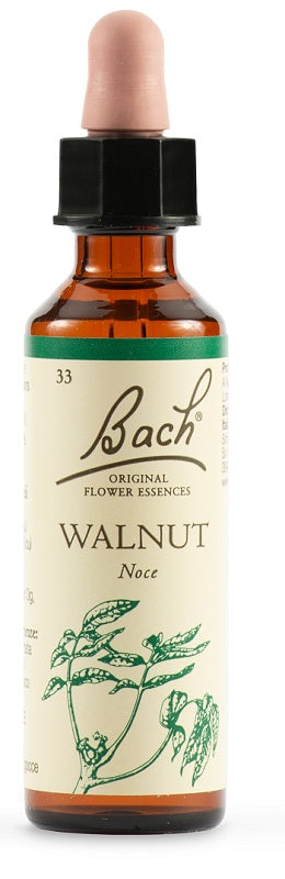 BACH ORIG.WALNUT            20ML