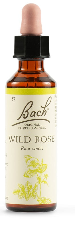 BACH ORIG.WILD ROSE         20ML