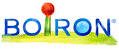 BOIRON CARBO VEGET.GRAN.  9CH 4G