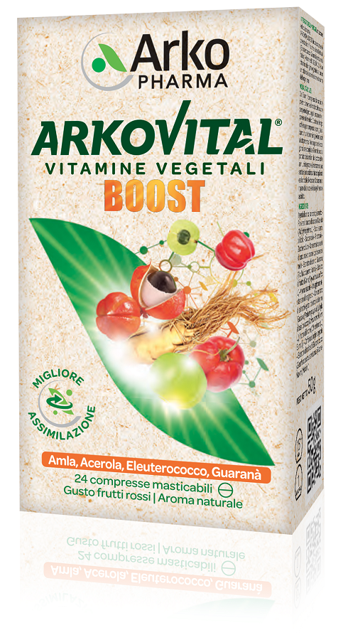 ARKOVITAL BOOST            24CPR
