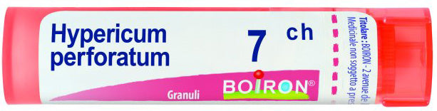 BOIRON HYPERICUM   GRAN.  7CH 4G