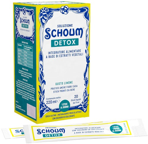 SOLUZIONE SCHOUM DETOX   20STICK