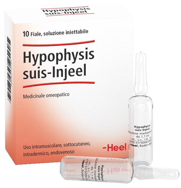 HEEL HYPOPHYSIS SUIS IN.     10F