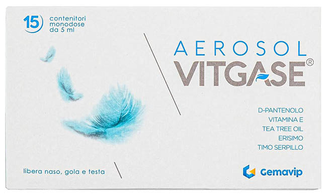 VITGASE AEROSOL        15FL.25ML
