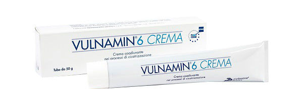 VULNAMIN 6 CREMA             50G