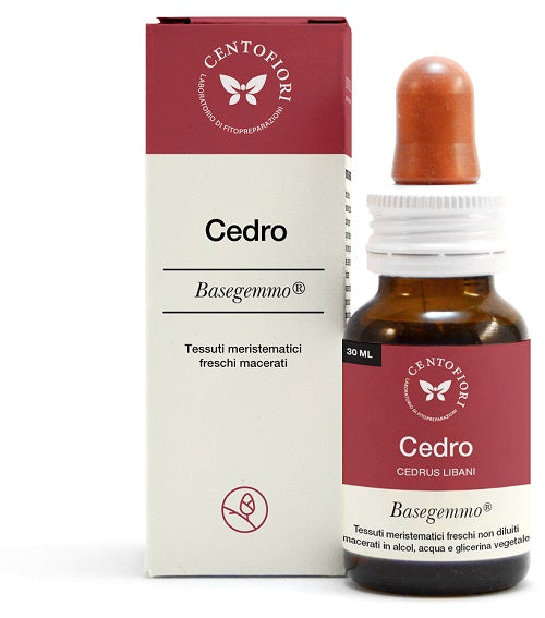 CEDRO BASEGEMMO             30ML