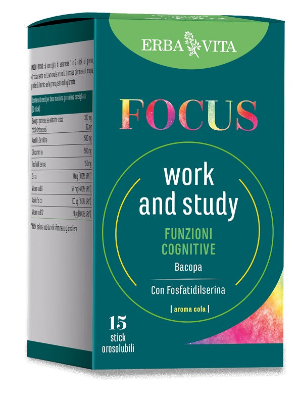 FOCUS WORK AND STUDY     15STICK