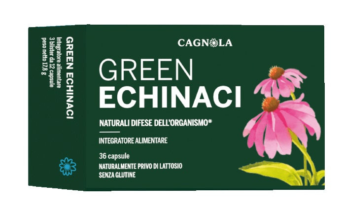 GREEN ECHINACI             36CPS