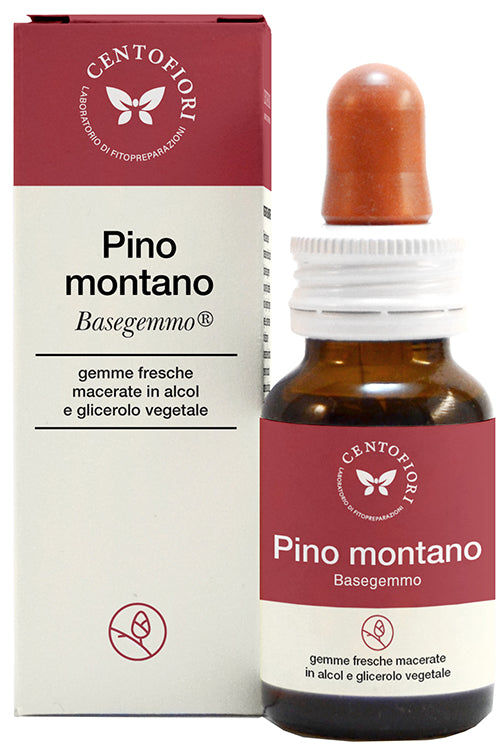 PINO MONTANO BASEGEMMO 30ML