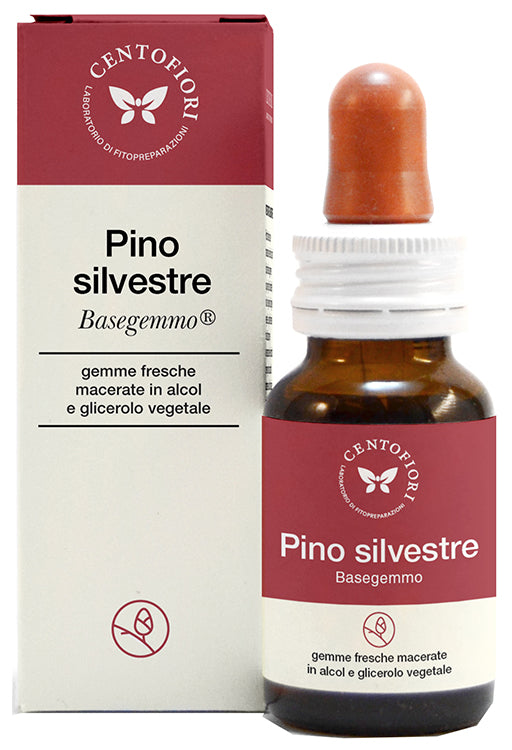 PINO SILVESTRE BASEGEMMO 30ML