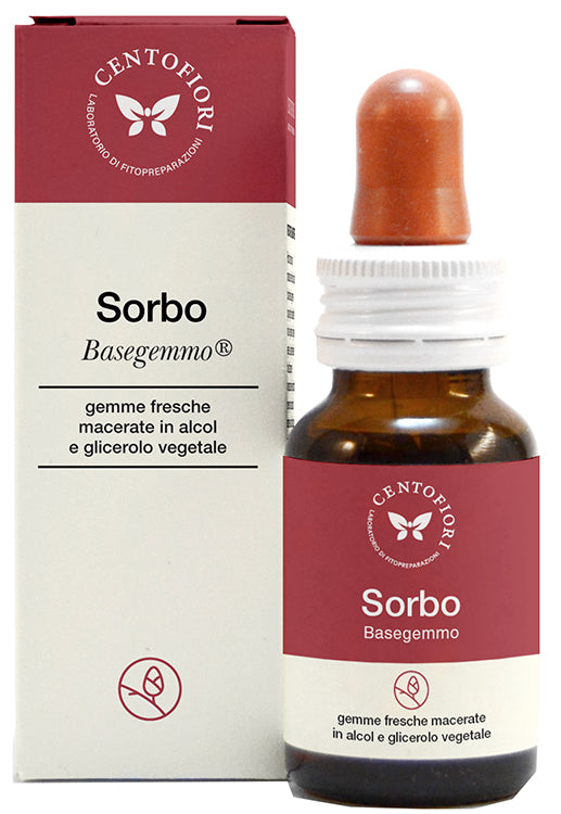 SORBO BASEGEMMO             30ML