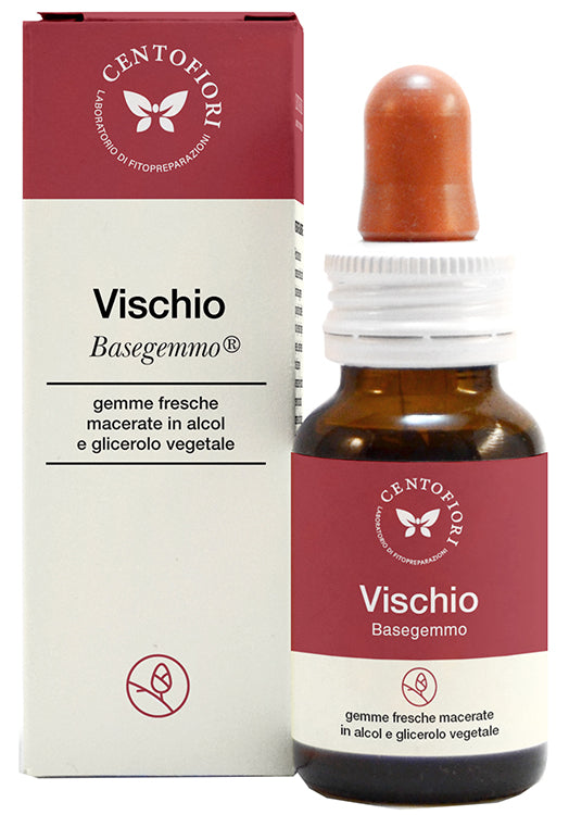 VISCHIO BASEGEMMO           30ML