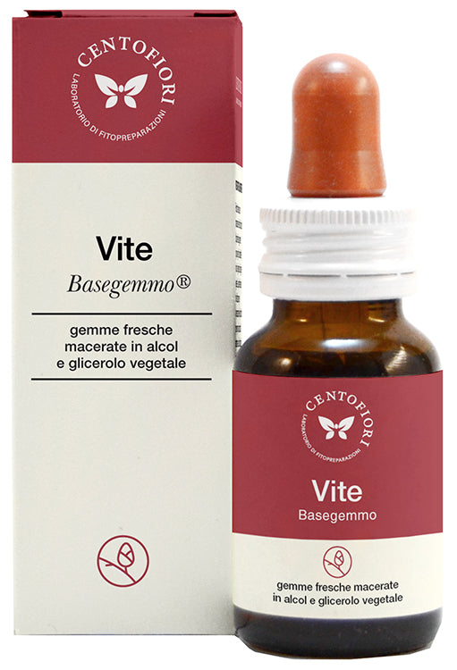 VITE BASEGEMMO              30ML
